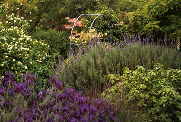 This garden seems to have the layered look. This garden seems to have the layered look.