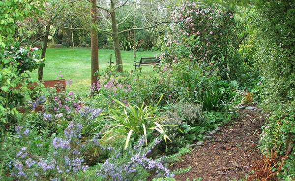  Through the Septic Tank Garden. 