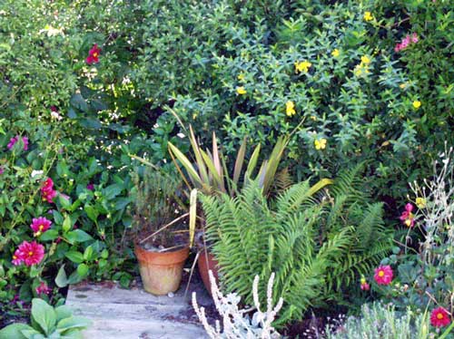  another excuse to display a favourite red flax 
