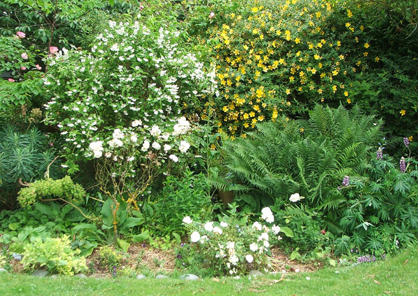 This photograph was taken in summer 2010. This photograph was taken in summer 2010.