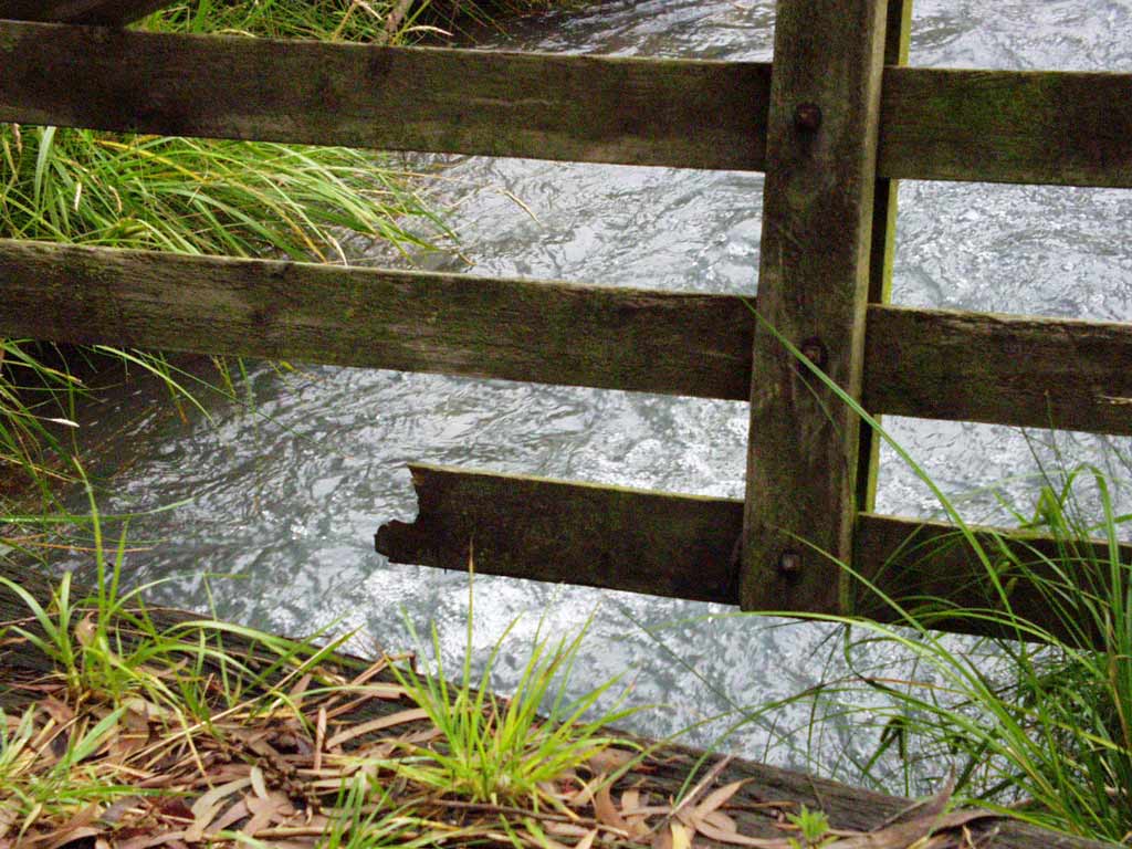 wooden-gate-garden-water.jpg