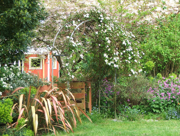  Peeping through from the house lawn. 