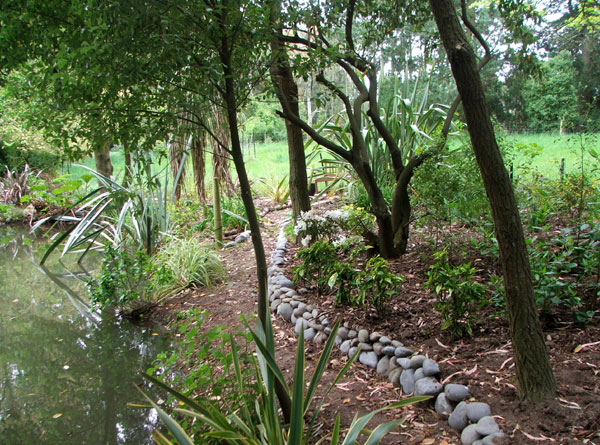 My new waterside path. My new waterside path.