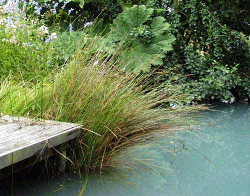  It's nice to sit on the decking and dangle your feet in the water 