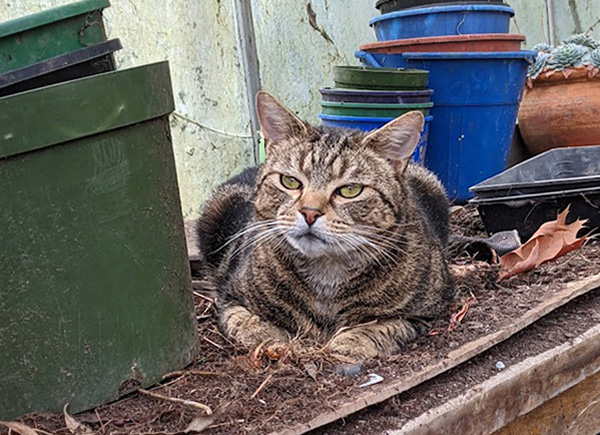  By the pots. 