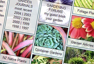  The homepage images give a taster of the delights within...! 