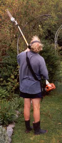  Stephen Pruning Roses. 