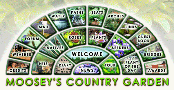 My first garden website was launched in 2000 and used a potager garden as a menu. It served its purpose well, for a while...