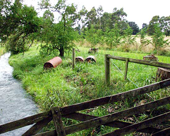  Over twelve years ago - no planting at all! 