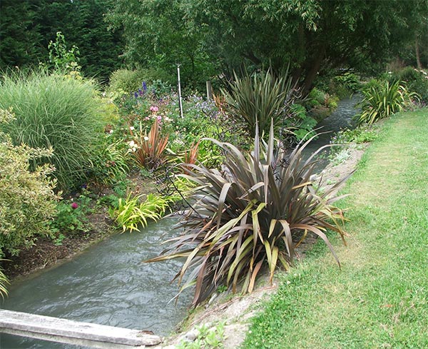  The Willow tree by the water. 