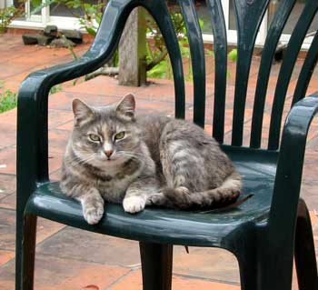  A comfortable seat in the sun to wait for dinner. 