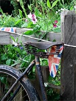 bicycle-seat-garden