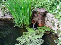 brick-pond