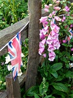 english-garden-fence