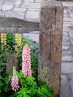 lupins-patio-fence