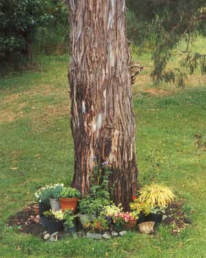 The plantings in these pots are changed before the frosts start.