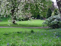 english-spring