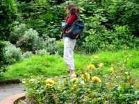 garden-website-manager