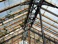 greenhouse-roof