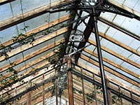 greenhouse-roof