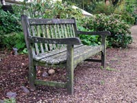 old-lichen-garden-seat