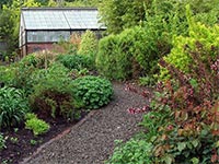 perennials-path-gravel