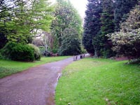 serpentine-walk-garden-seats