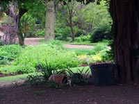 shaded-plant-containers