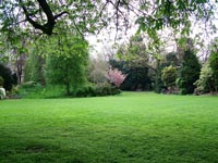 sheltering-from-spring-showers