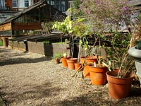 sunny-pots-green-houses