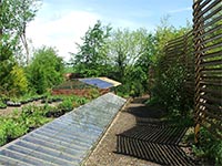 trellis-cold-frame