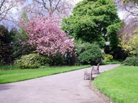 twin-garden-seats-sunshine