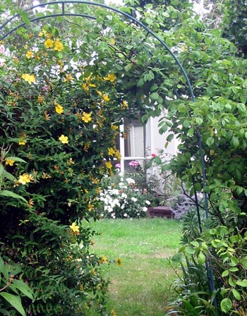  Looking back at the house and the lounge bay window. 