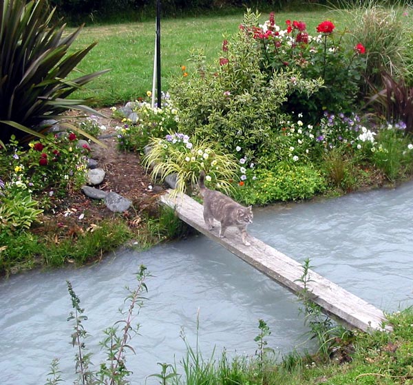  Planting by the Plank 