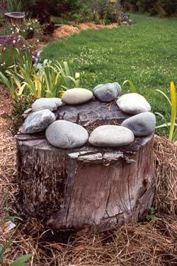  I think that my artistic son is making fun of me here. These stones are just resting! 