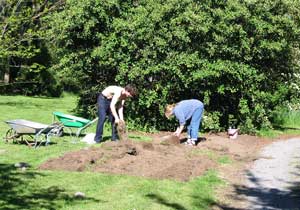 Youngest Son lending a hand. Youngest Son lending a hand.
