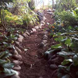  This path leads from the seat to the glasshouse. 