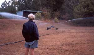  Stephen, the saviour of sweeping lawns supervises the irrigation of the frisbee lawn. 