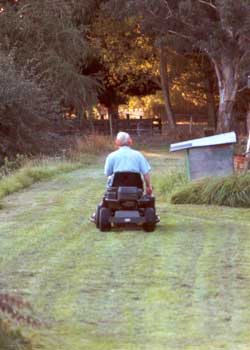  Stephen the garden waterer and lawn mower has returned from conferences in the USA - I love the newly mown lawn look! 