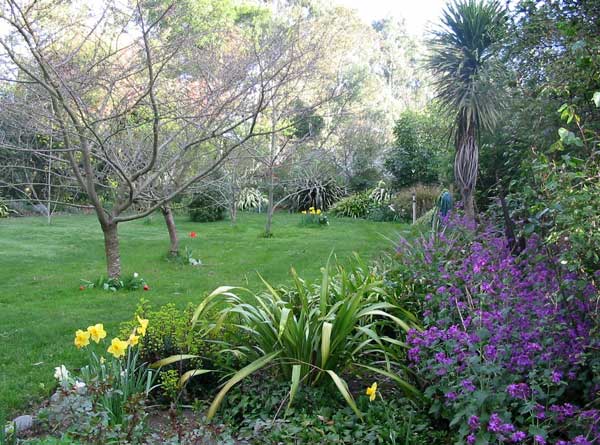  I love the purple honesty which fills this border every spring. 