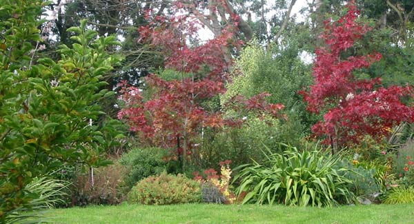  This is a view of the Oak Tree Garden from Duck-Lawn. Unfortunately this lawn has been duckless since the year it was named. 