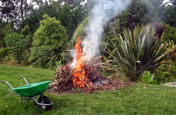  Hard work for the Moosey wheelbarrow. 