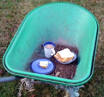  The bread is for the birds. 