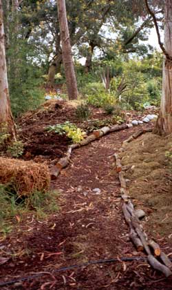  The path needs constant raking to keep it free from fallen gum tree branches and leaves. 