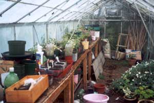 A rather untidy working glasshouse. A rather untidy working glasshouse.