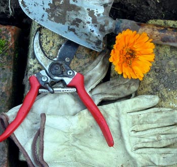  Gloves and trowel. 