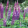 Best of 2010 Garden Awards