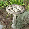 Birdbath