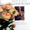 David Austin