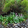 Stone Wall Foliage Garden